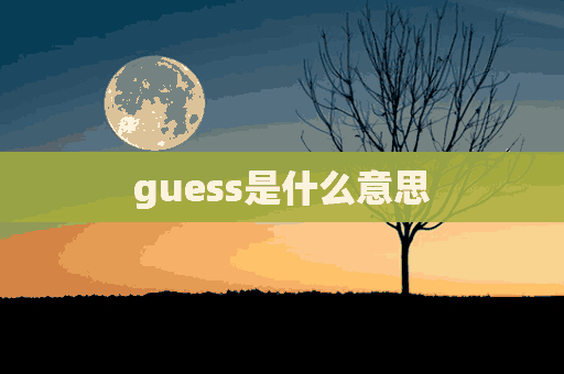 guess是什么意思